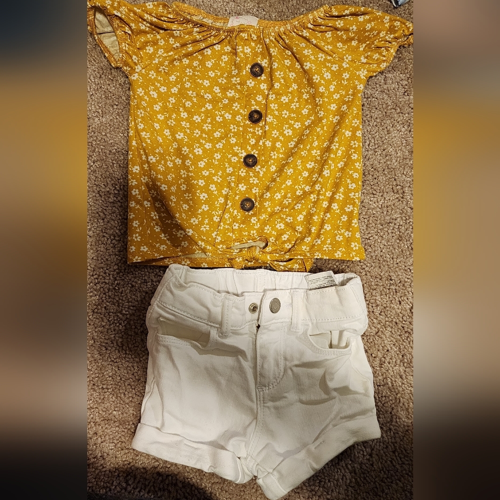 Toddler size 24 months summer shorts and tee shirt outfit